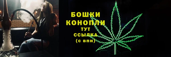 сатива Балабаново