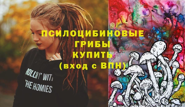 ГАЛЛЮЦИНОГЕННЫЕ ГРИБЫ Пролетарск